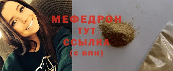 трава Няндома