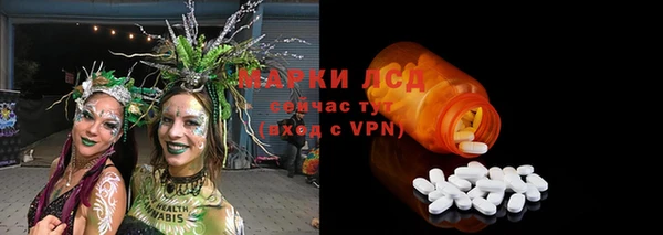 прущие грибы Абаза