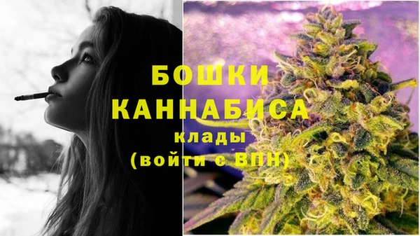 дживик Новодвинск