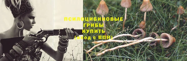 дживик Новодвинск